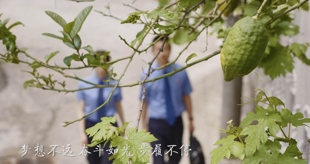 1684197138148165.png wps_doc_4.png